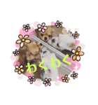 ロンとよしお2（個別スタンプ：16）