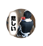 やすくんと愉快ななかまたち（個別スタンプ：3）