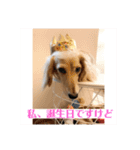 ぱぴちゃんぶんくん（個別スタンプ：8）