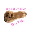 ぱぴちゃんぶんくん（個別スタンプ：11）