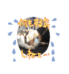よいちくん3（個別スタンプ：2）