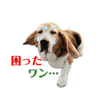 よいちくん3（個別スタンプ：3）