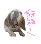 よいちくん3（個別スタンプ：4）