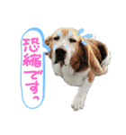 よいちくん3（個別スタンプ：5）
