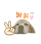 よいちくん3（個別スタンプ：9）