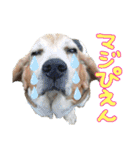 よいちくん3（個別スタンプ：12）