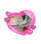 レオパードのぴんきー（個別スタンプ：7）
