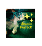 Ken the Jack Russel Terrier（個別スタンプ：4）