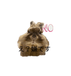 ライオンラビットのモカさん（個別スタンプ：6）