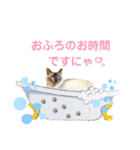 クロさんとつゆさんとゆずさんのスタンプ（個別スタンプ：13）
