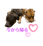 Tyson/Sally/Moco（個別スタンプ：6）
