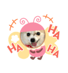 ぽめぽめ Ⅱ（個別スタンプ：5）