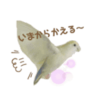 つーちゃんくーちゃんの日常（個別スタンプ：4）