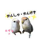 つーちゃんくーちゃんの日常（個別スタンプ：5）