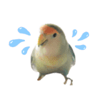 つーちゃんくーちゃんの日常（個別スタンプ：7）