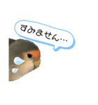 つーちゃんくーちゃんの日常（個別スタンプ：13）