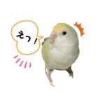 つーちゃんくーちゃんの日常（個別スタンプ：15）
