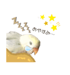 つーちゃんくーちゃんの日常（個別スタンプ：19）