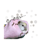 つーちゃんくーちゃんの日常（個別スタンプ：20）