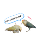つーちゃんくーちゃんの日常（個別スタンプ：21）