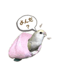 つーちゃんくーちゃんの日常（個別スタンプ：23）