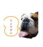 たとー（個別スタンプ：5）