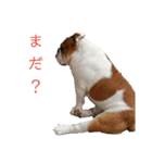 たとー（個別スタンプ：6）