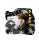 たとー（個別スタンプ：7）