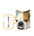 たとー（個別スタンプ：8）