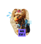 ヨーキーつくたんスタンプ16（個別スタンプ：12）