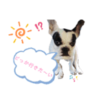 ラッキー<MIX>モコ<Frenchbulldog>（個別スタンプ：6）