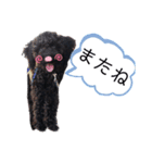 ラッキー<MIX>モコ<Frenchbulldog>（個別スタンプ：12）