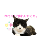 ごま子さん家の猫ごましお。（個別スタンプ：2）