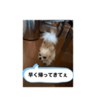れりょ！（個別スタンプ：3）