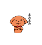 トイプードルぷんさん（個別スタンプ：1）