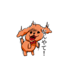 トイプードルぷんさん（個別スタンプ：3）