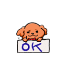 トイプードルぷんさん（個別スタンプ：5）