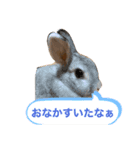 おでふたち（個別スタンプ：1）