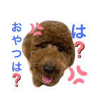 おでふたち（個別スタンプ：3）