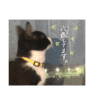 だんだん成長するペク（個別スタンプ：32）
