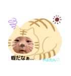 やよたん2♡♡（個別スタンプ：5）