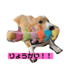 あいらぶコーギー④（個別スタンプ：32）