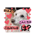れれれのはにたんラブユー（個別スタンプ：1）