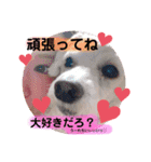 れれれのはにたんラブユー（個別スタンプ：4）