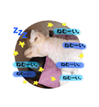 れれれのはにたんラブユー（個別スタンプ：13）