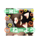 れれれのはにたんラブユー（個別スタンプ：14）