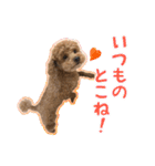 トイプードルのこぼちゃん（個別スタンプ：39）
