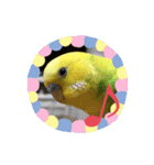 ひまひま日和2（個別スタンプ：1）