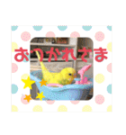 ひまひま日和2（個別スタンプ：9）