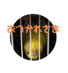 ひまひま日和2（個別スタンプ：11）